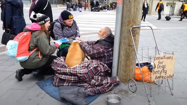 The Rose Quest - Helping Out on the Street